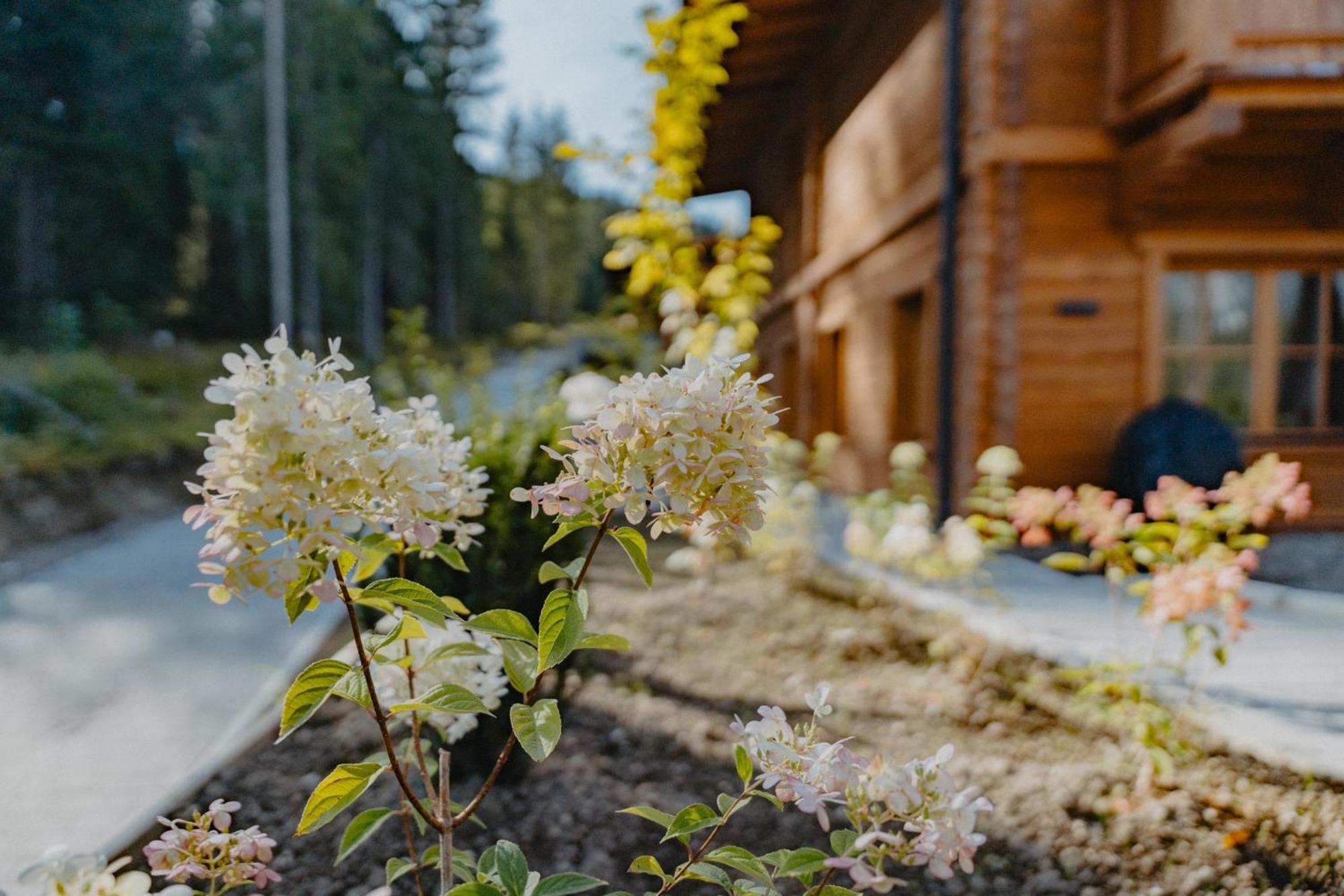 Sissi'S Green Chalets Leutasch Luaran gambar
