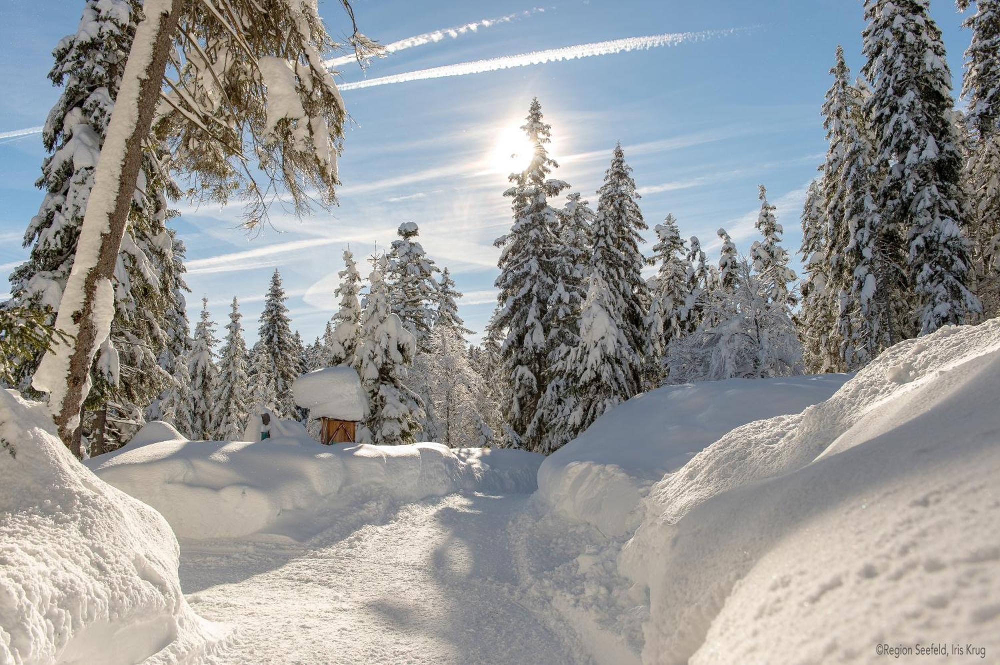 Sissi'S Green Chalets Leutasch Luaran gambar